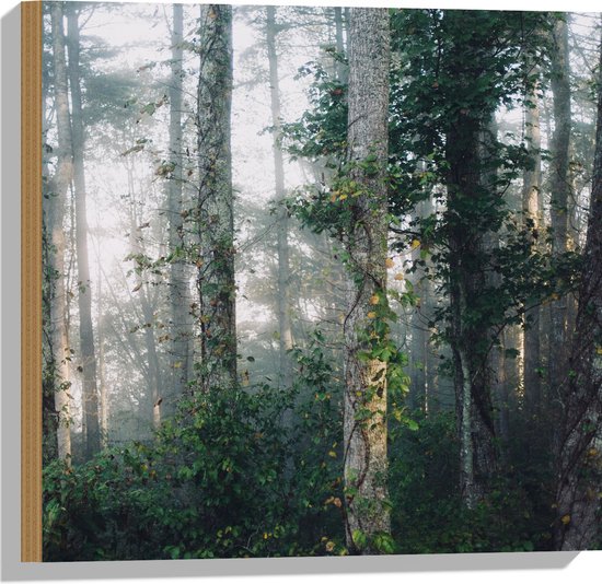 WallClassics - Hout - Mist tussen Bomen - 50x50 cm - 12 mm dik - Foto op Hout (Met Ophangsysteem)
