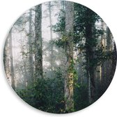 WallClassics - PVC Schuimplaat Muurcirkel - Mist tussen Bomen - 50x50 cm Foto op Muurcirkel (met ophangsysteem)