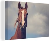 Canvas Schilderij Paard - Wolken - Portret - 120x80 cm - Wanddecoratie