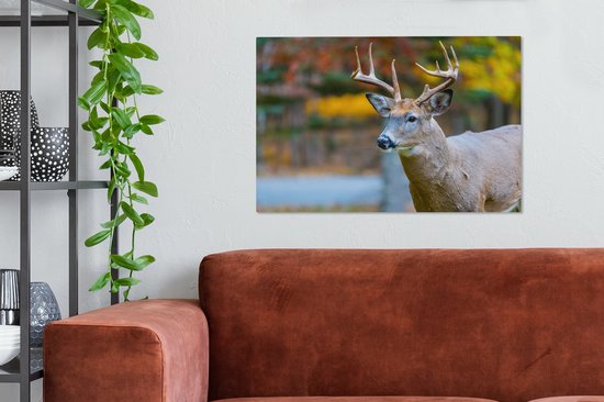 Cerf avec la tête en l'air toile 2cm 60x40 cm - Tirage photo sur toile peinture (Décoration murale salon / chambre) / animaux sauvages Peintures sur toile