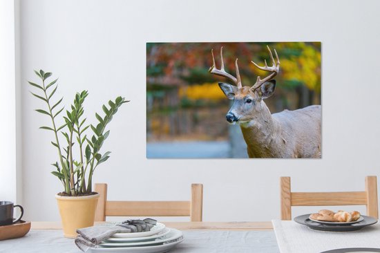 Cerf avec la tête en l'air toile 2cm 60x40 cm - Tirage photo sur toile peinture (Décoration murale salon / chambre) / animaux sauvages Peintures sur toile