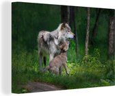 Canvas Schilderij Grijze wolf met haar pup - 120x80 cm - Wanddecoratie