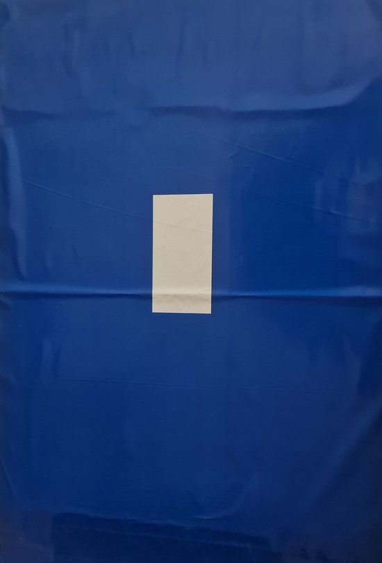 25 stuks Verzendzakken voor kleding blauw 34 x 44 cm  60 micron  met witte vakje voor adres sticker met 2 zelfklevende strip retour strip Mailer / Koerierszakken / Coex zakken