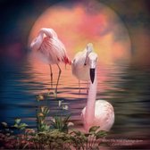 Diamond painting 40x50cm - flamingo's in water - ronde steentjes