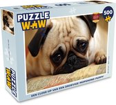 Puzzel Een close-up van een droevige mopshond puppy - Legpuzzel - Puzzel 500 stukjes