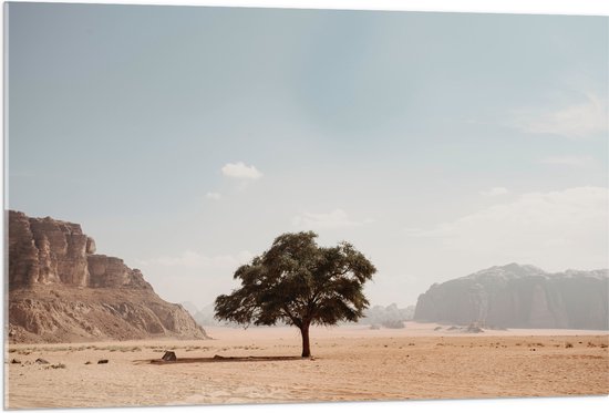 WallClassics - Acrylglas - Eenzame Boom in Woestijn - 105x70 cm Foto op Acrylglas (Wanddecoratie op Acrylaat)