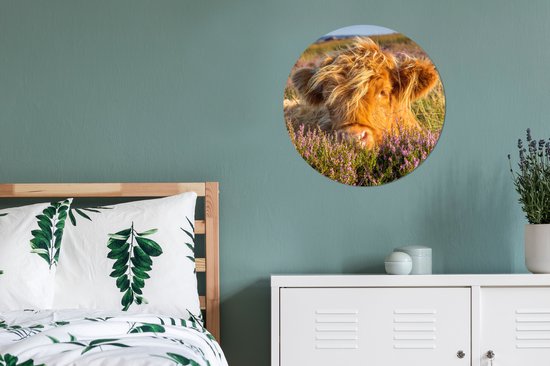 Wallpaper Circle - Highlander écossais - Heather - Herbe - Animaux - 50x50 cm - Wall Circle - Auto-adhésif - Sticker rond pour papier peint
