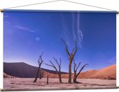 WallClassics - Affiche Textile - Dead Vlei Dune - 120x80 cm Photo sur Textile