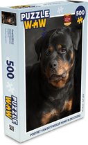 Puzzel Portret van Rottweiler hond in de studio - Legpuzzel - Puzzel 500 stukjes