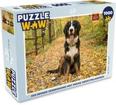 Puzzel Een Berner Sennenhond met mooie herfstbladeren - Legpuzzel - Puzzel 1000 stukjes volwassenen