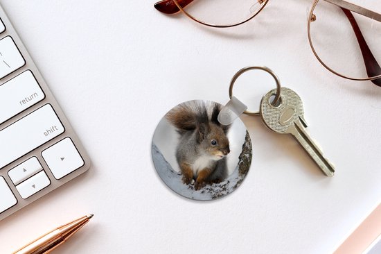 Porte-clés - Écureuil - Animal - Arbre - Hiver - Plastique - Rond - Cadeaux à distribuer