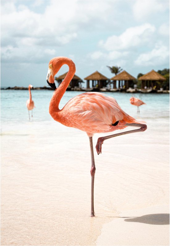 Roze Flamingo Art Print | 20 x 30 cm (A4)