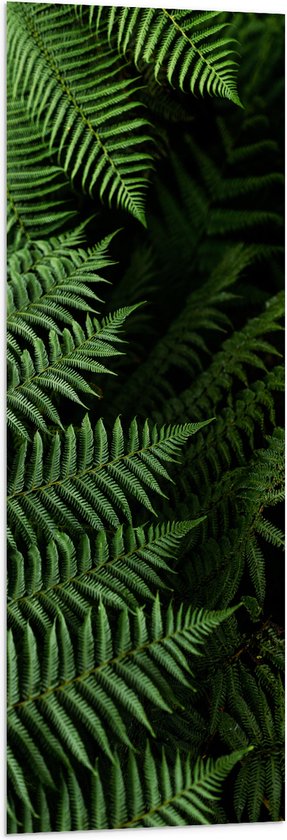 WallClassics - Vlag - Close-up Groene Bladeren - 40x120 cm Foto op Polyester Vlag