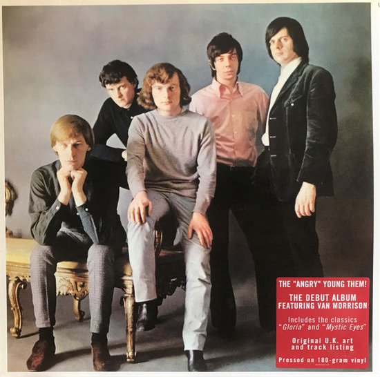 Albumcover met vijf mannen. De titel 'THE ANGRY YOUNG THEM' staat rechtsonder.