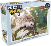 Puzzle Hérisson rampant sur une branche - Puzzle - Puzzle 500 pièces