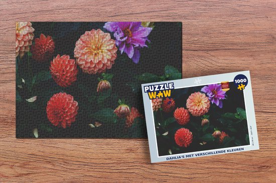 Puzzle Dahlias de différentes couleurs - Puzzle - Puzzle 1000 pièces adultes