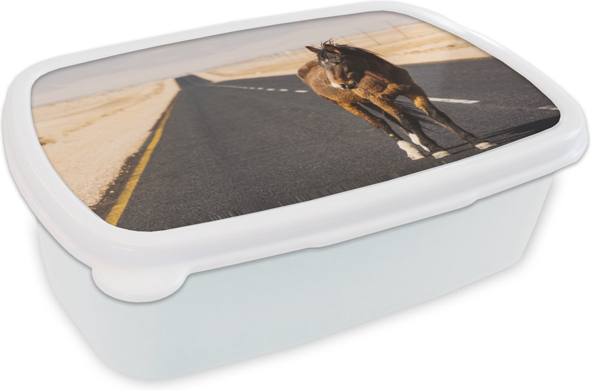Broodtrommel Wit - Lunchbox - Brooddoos - Paard - Zand - Weg - 18x12x6 cm - Volwassenen