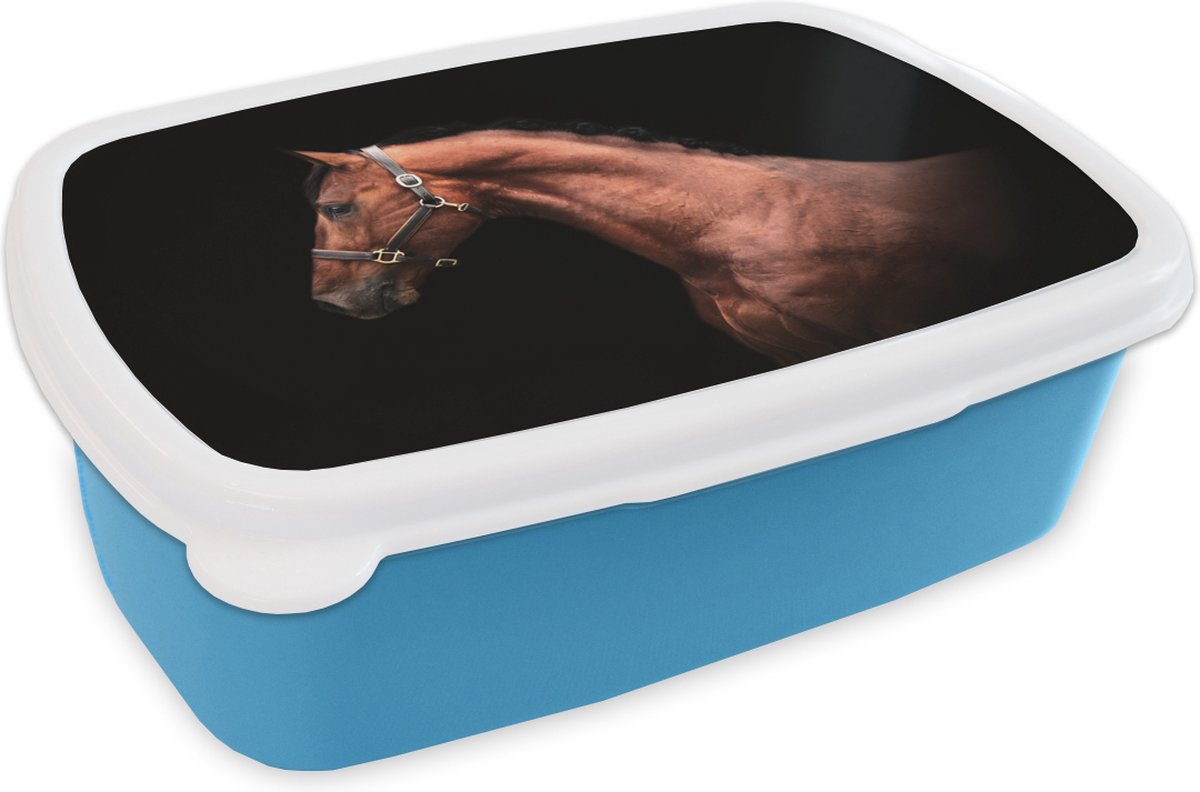 Broodtrommel Blauw - Lunchbox - Brooddoos - Paard - Licht - Halster - 18x12x6 cm - Kinderen - Jongen