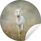 Cheval Wit galope à travers le coquelicot Wall Circle papier peint autocollant 80x80 cm / cercle papier peint / cercle mural / cercle vivant - autocollant & coupe ronde