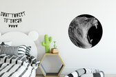 Behangcirkel - Dieren - Leeuw - Natuur - Zwart - Wit - Zelfklevend behang - 80x80 cm - Cirkel behang - Behangcirkel zelfklevend - Behang rond - Ronde wanddecoratie