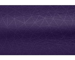 Sea To Summit Comfort Plus Opblaasbaar Matras Paars 170 x 53 cm