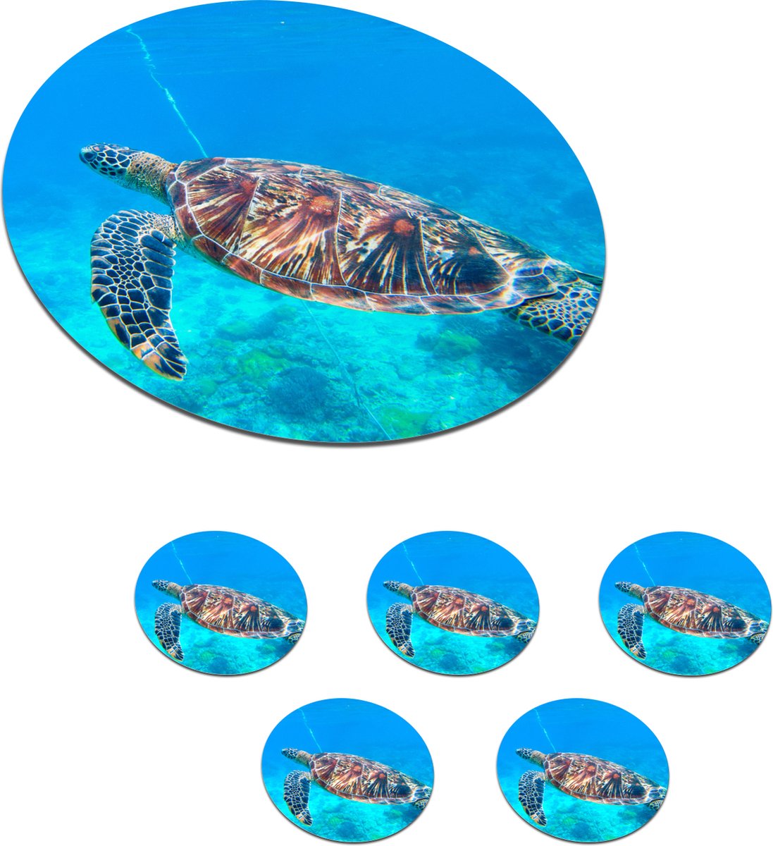 Onderzetters voor glazen - Rond - Zee - Schildpad - Water - 10x10 cm - Glasonderzetters - 6 stuks