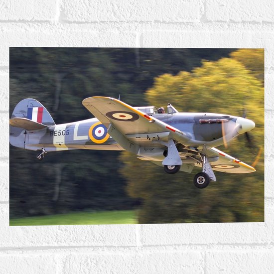 WallClassics - Muursticker - Klein Grijs Frans Stuntvliegtuig bij Bomen - 40x30 cm Foto op Muursticker