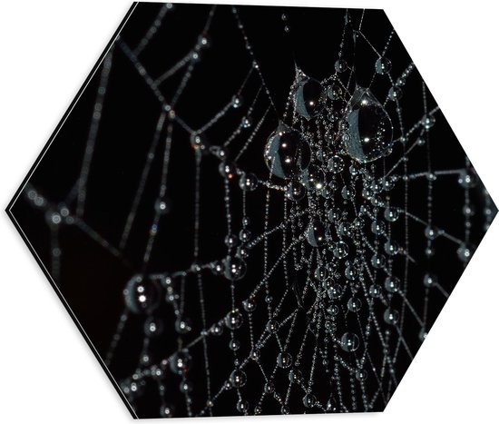 WallClassics - Dibond Hexagon - Spinnenweb met Waterdruppels - 40x34.8 cm Foto op Hexagon (Met Ophangsysteem)