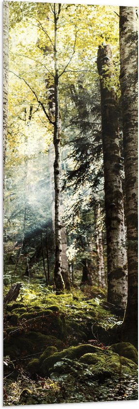 WallClassics - Vlag - Groene Bomen met Zon - 40x120 cm Foto op Polyester Vlag