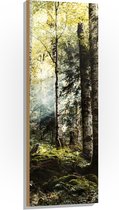 WallClassics - Bois - Arbres verts avec soleil - 40x120 cm - 12 mm d'épaisseur - Photo sur bois (avec système de suspension)