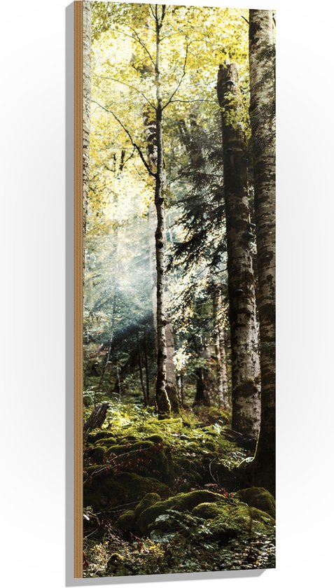 WallClassics - Hout - Groene Bomen met Zon - 40x120 cm - 12 mm dik - Foto op Hout (Met Ophangsysteem)