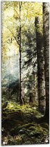 WallClassics - Tuinposter – Groene Bomen met Zon - 40x120 cm Foto op Tuinposter  (wanddecoratie voor buiten en binnen)