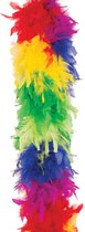 Faram Party - Veren Boa - Carnaval verkleed accessoire - regenboog - 180 cm - 50 gram