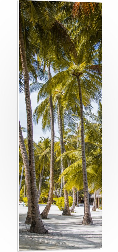 WallClassics - PVC Schuimplaat- Grote Groene Palmbomen - 30x90 cm Foto op PVC Schuimplaat