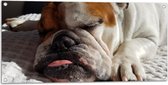 WallClassics - Tuinposter – Slapende Bulldog Hond - 100x50 cm Foto op Tuinposter  (wanddecoratie voor buiten en binnen)