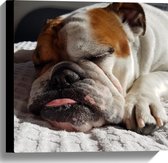 WallClassics - Canvas  - Slapende Bulldog Hond - 40x40 cm Foto op Canvas Schilderij (Wanddecoratie op Canvas)