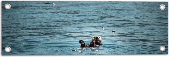 WallClassics - Tuinposter – Otter in de Zee - 60x20 cm Foto op Tuinposter  (wanddecoratie voor buiten en binnen)