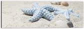 WallClassics - Dibond - Blauwe Zeesterren op het Strand - 60x20 cm Foto op Aluminium (Met Ophangsysteem)