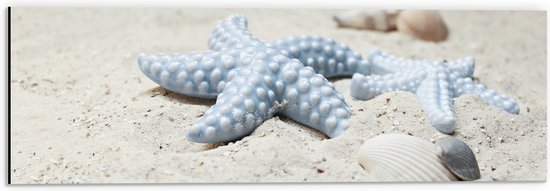 WallClassics - Dibond - Étoile de mer bleue sur la plage - Photo 60x20 cm sur aluminium (avec système de suspension)