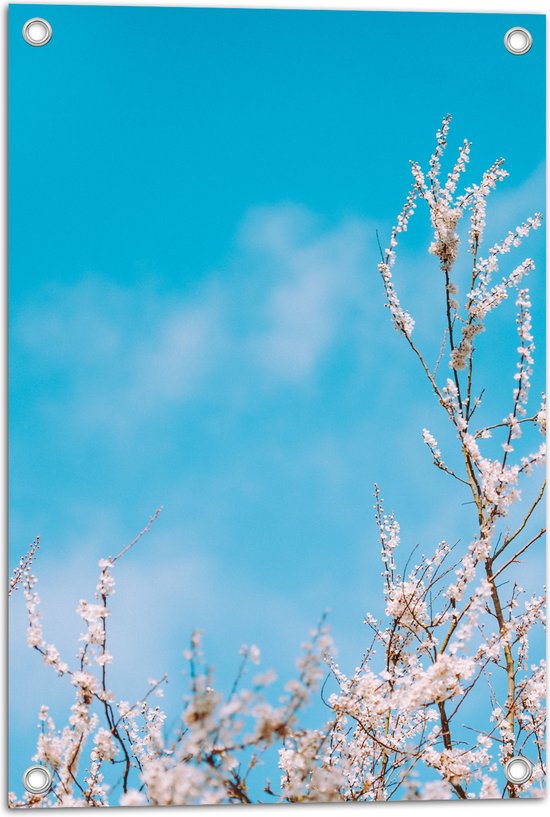 WallClassics - Tuinposter – Bloesemtakken onder Felblauwe Lucht in de Lente - 40x60 cm Foto op Tuinposter  (wanddecoratie voor buiten en binnen)