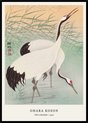Vintage Japanse print met twee kraanvogels bij riet, door Ohara Koson.