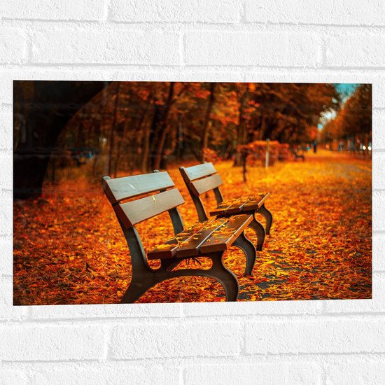 WallClassics - Muursticker - Bankjes tijdens Herfst in het Park - 60x40 cm Foto op Muursticker