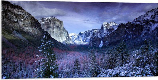 WallClassics - Acrylglas - Besneeuwde Bergen met Bomen en Rotsen - 100x50 cm Foto op Acrylglas (Met Ophangsysteem)
