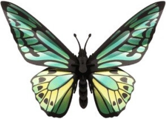 Assembli paper Green Birdwing Butterfly