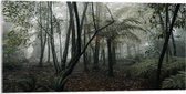 WallClassics - Verre acrylique - Forêt brumeuse - Photo 100 x 50 cm sur verre acrylique (avec système de suspension)