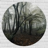 WallClassics - Muursticker Cercle - Forêt Brumeuse - 100x100 cm Photo sur Muursticker