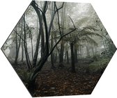 WallClassics - Dibond Hexagon - Mistig Bos - 70x60.9 cm Foto op Hexagon (Met Ophangsysteem)