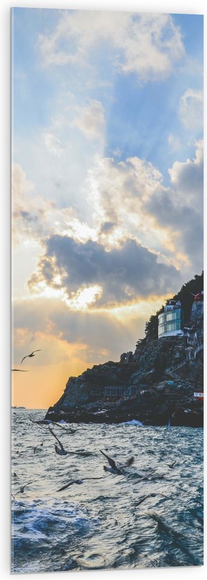 WallClassics - Verre Acrylique - Vogels Volant le Long des Montagnes sur la Côte - 40x120 cm Photo sur Verre Acrylique (avec système de suspension)