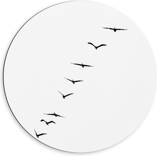 WallClassics - Dibond Muurcirkel - Schuine Lijn van Zwarrte Vogels op Witte Achtergrond - 60x60 cm Foto op Aluminium Muurcirkel (met ophangsysteem)