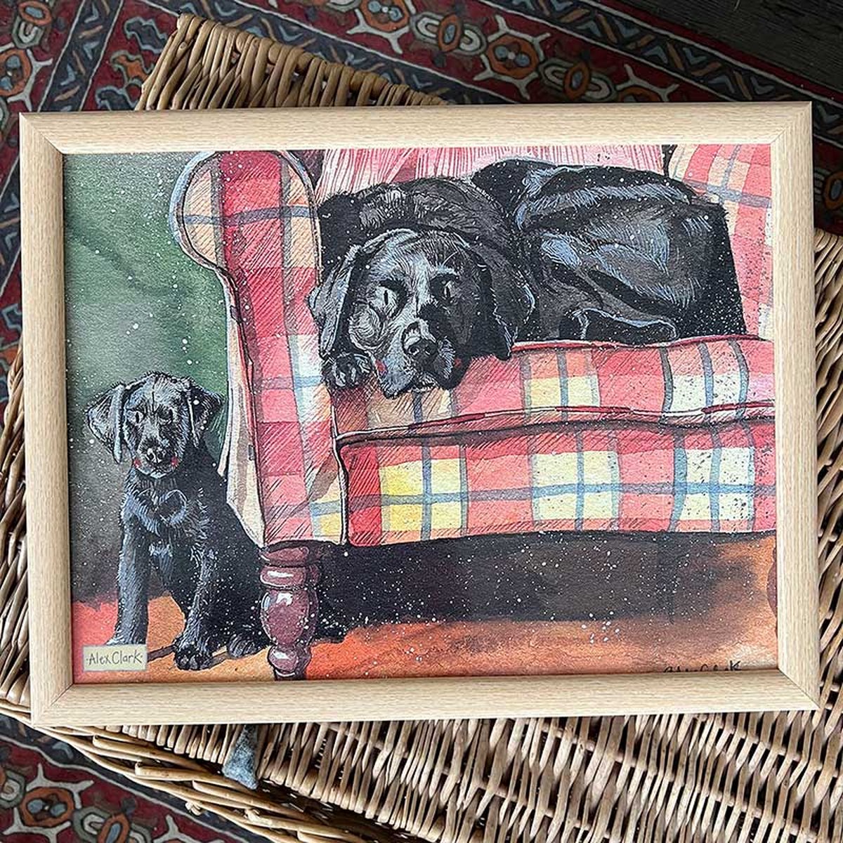 Goedkoopste Alex Clark Schootkussen Hond ~ Sophie & Scarlet